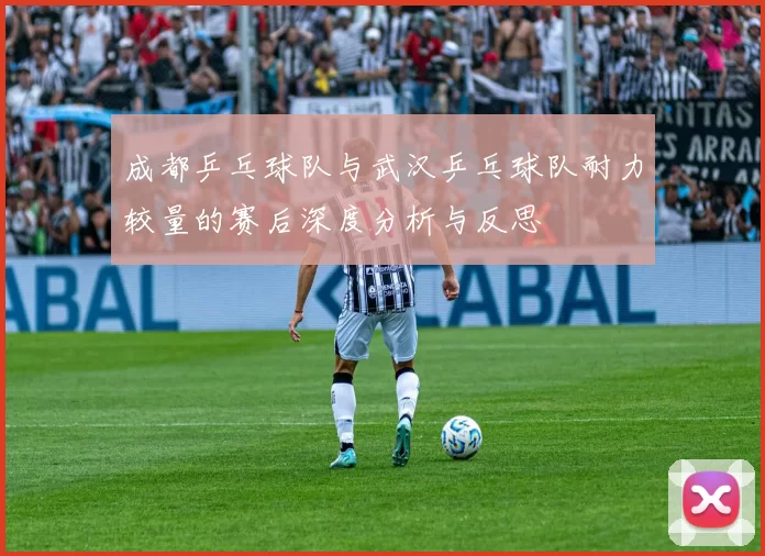 成都乒乓球队与武汉乒乓球队耐力较量的赛后深度分析与反思