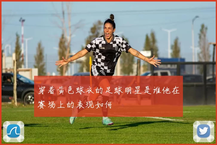 穿着黄色球衣的足球明星是谁他在赛场上的表现如何