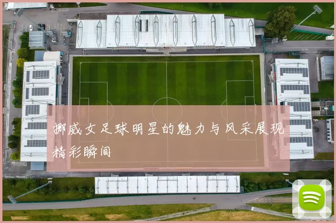 挪威女足球明星的魅力与风采展现精彩瞬间