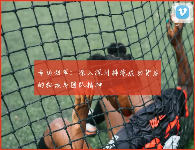 专访刘军：深入探讨排球成功背后的秘诀与团队精神