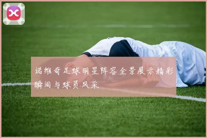 诺维奇足球明星阵容全景展示精彩瞬间与球员风采