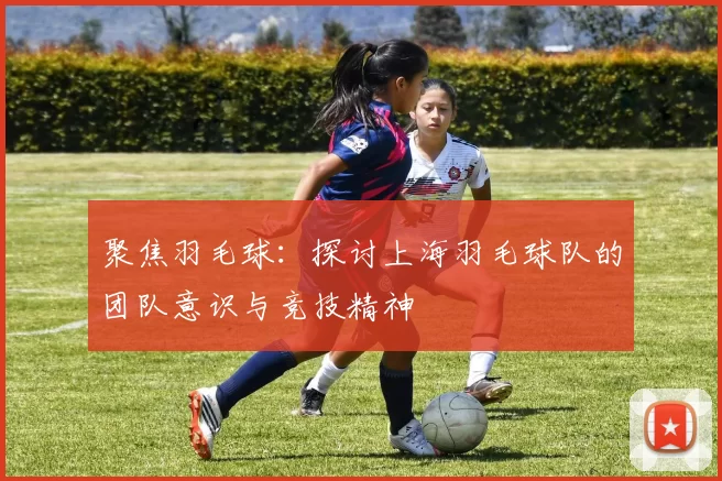 聚焦羽毛球：探讨上海羽毛球队的团队意识与竞技精神