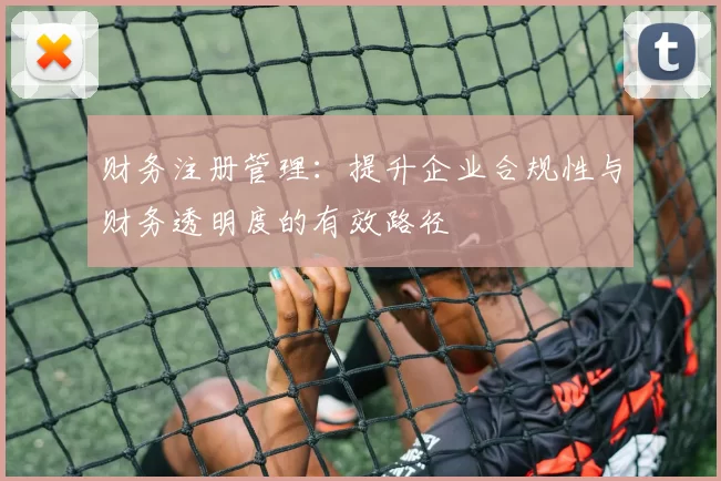 财务注册管理：提升企业合规性与财务透明度的有效路径