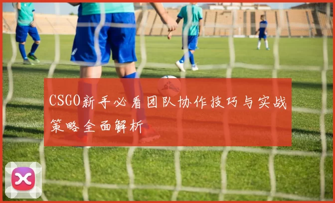 CSGO新手必看团队协作技巧与实战策略全面解析