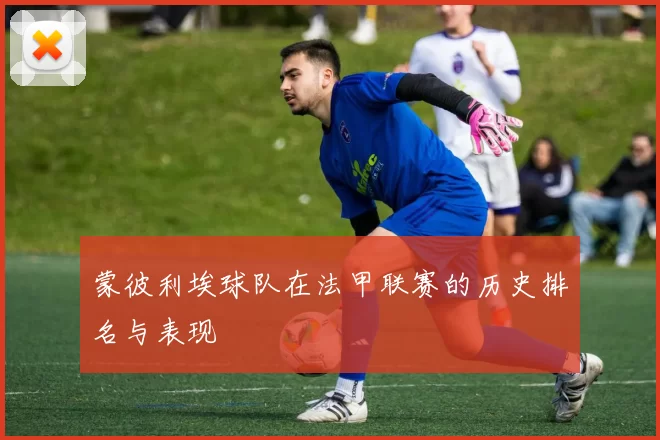 蒙彼利埃球队在法甲联赛的历史排名与表现