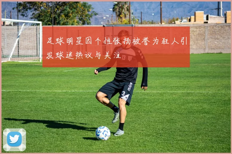 足球明星因个性张扬被誉为狂人引发球迷热议与关注
