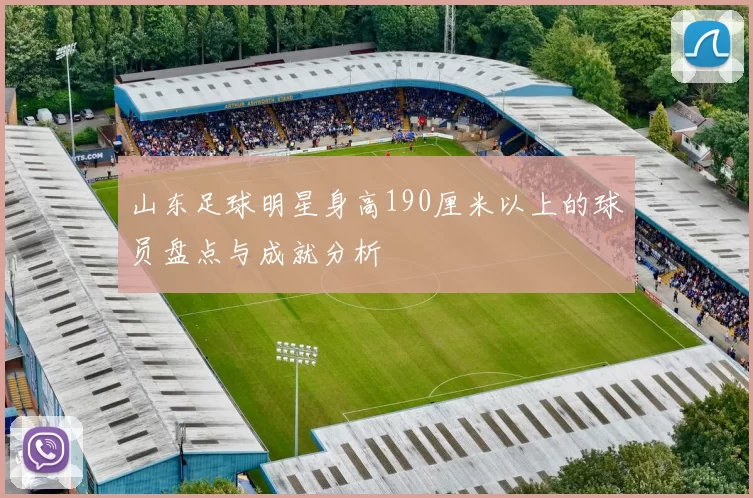 山东足球明星身高190厘米以上的球员盘点与成就分析