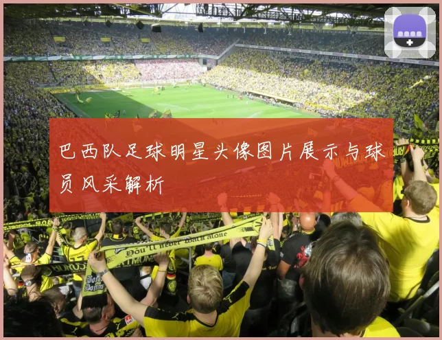 巴西队足球明星头像图片展示与球员风采解析