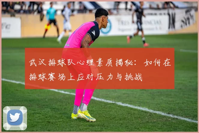 武汉排球队心理素质揭秘：如何在排球赛场上应对压力与挑战