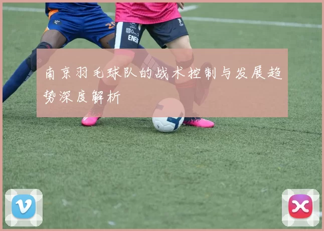 南京羽毛球队的战术控制与发展趋势深度解析