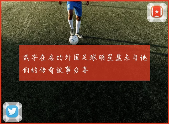 武字在名的外国足球明星盘点与他们的传奇故事分享