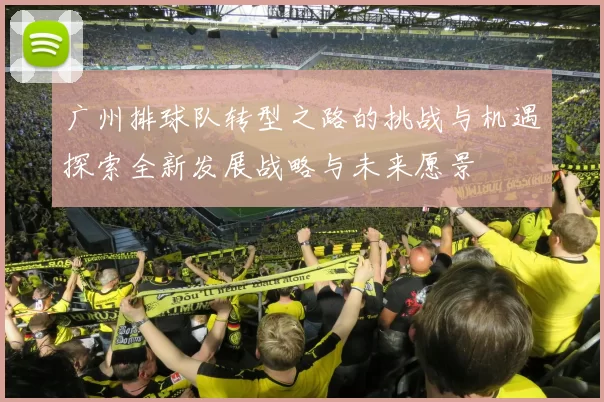 广州排球队转型之路的挑战与机遇探索全新发展战略与未来愿景