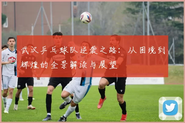 武汉乒乓球队逆袭之路：从困境到辉煌的全景解读与展望