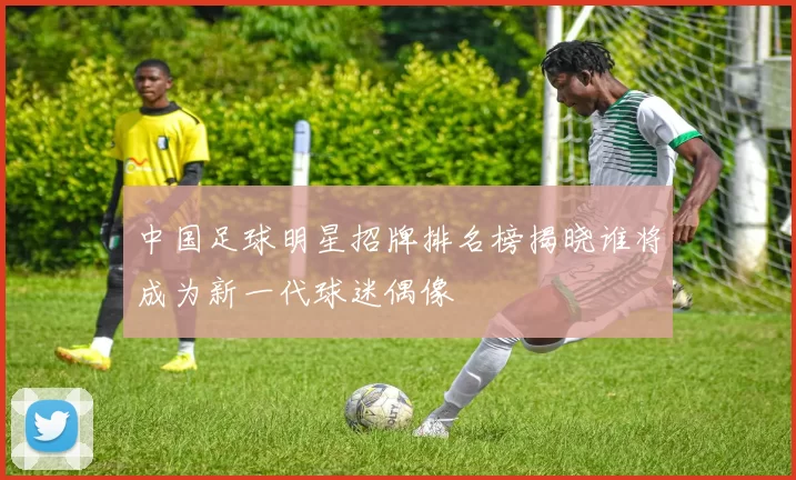 中国足球明星招牌排名榜揭晓谁将成为新一代球迷偶像