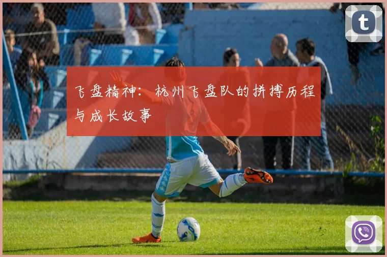 飞盘精神：杭州飞盘队的拼搏历程与成长故事
