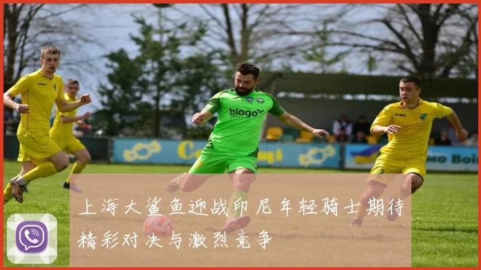 上海大鲨鱼迎战印尼年轻骑士期待精彩对决与激烈竞争