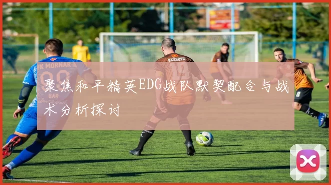 聚焦和平精英EDG战队默契配合与战术分析探讨