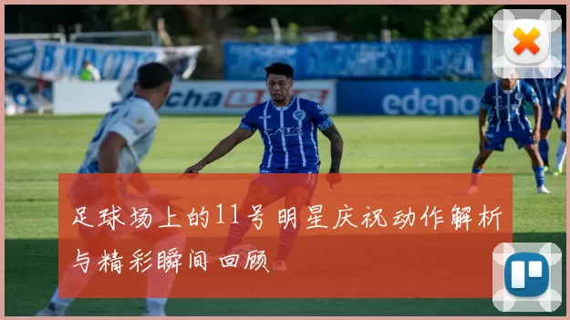 足球场上的11号明星庆祝动作解析与精彩瞬间回顾