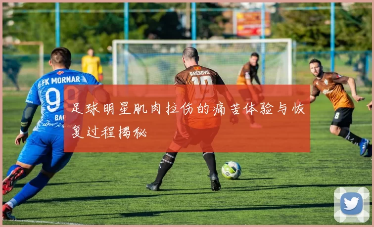 足球明星肌肉拉伤的痛苦体验与恢复过程揭秘