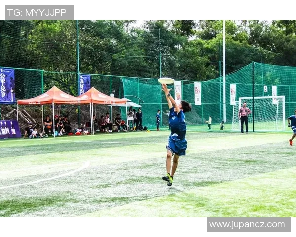 南京飞盘队战术揭秘:深度解析阵地战的技巧与策略